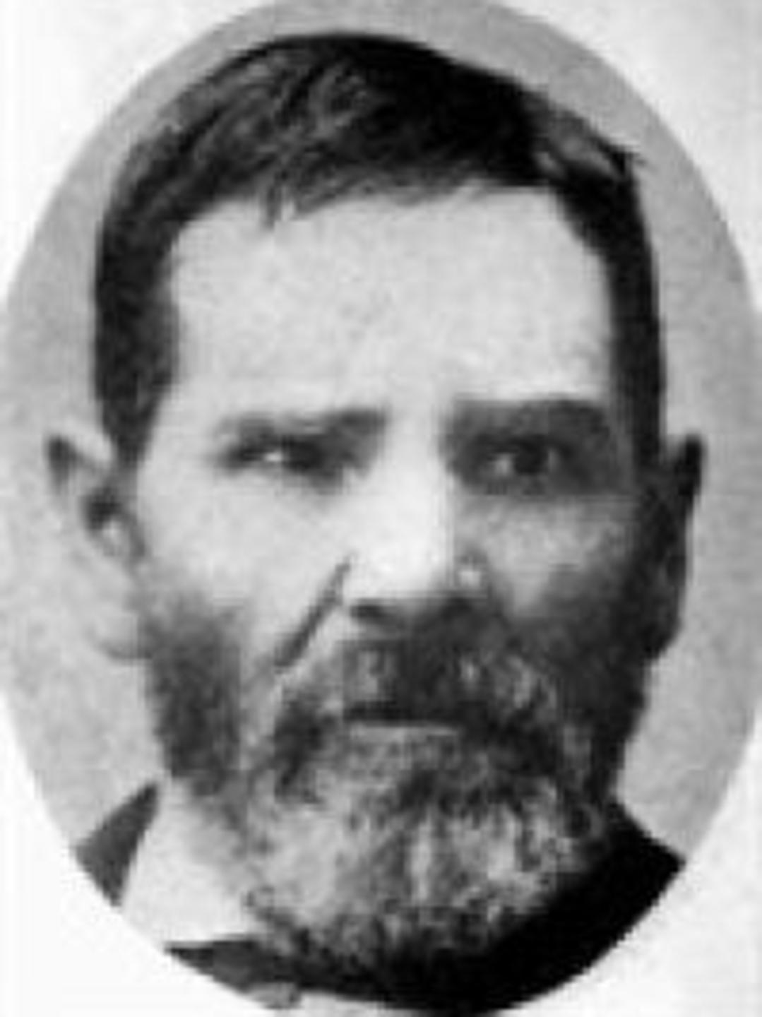 James Shelley (1828 - 1907) Profile